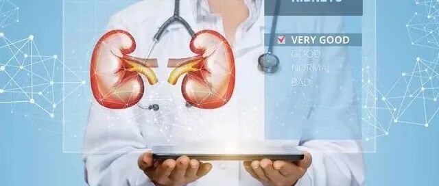​肾病化解肾衰竭危机指南：控制好2点，可护肾周全