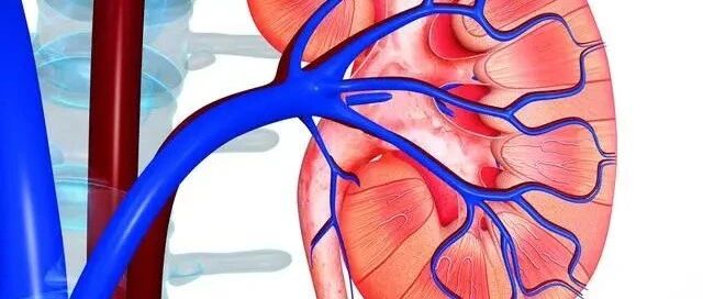 延缓肾功能进展，预防尿毒症发生，还需要注意这2点