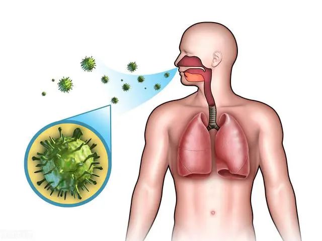 腎友須知：腎臟最怕2件事，堅持做好1點能護腎 健康 第4張