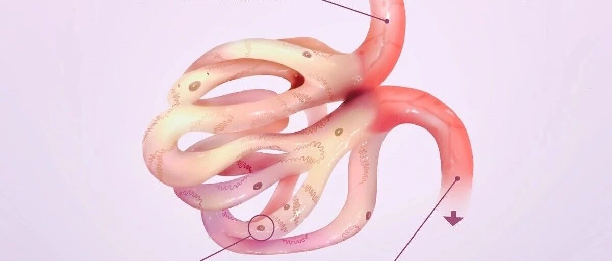 肾脏硬化还有救吗？防止肾衰竭，这件事才最重要