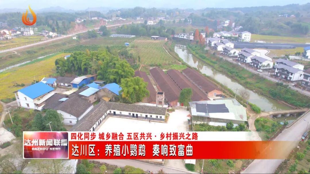 市台报道达川区：养殖小鹦鹉 奏响致富曲 