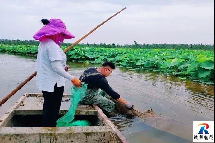 愛樂活•2020暑期自駕！這樣玩兒，才夠嗨！ 旅遊 第11張