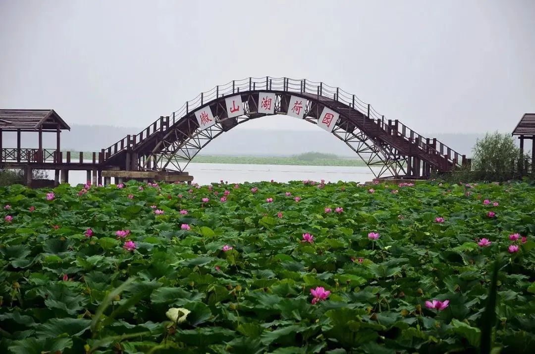 愛樂活•2020暑期自駕！這樣玩兒，才夠嗨！ 旅遊 第9張