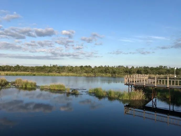 向往de夏天！呼倫貝爾北-額爾古納-北極村-發現最美中國15日深度自駕遊！ 旅遊 第57張