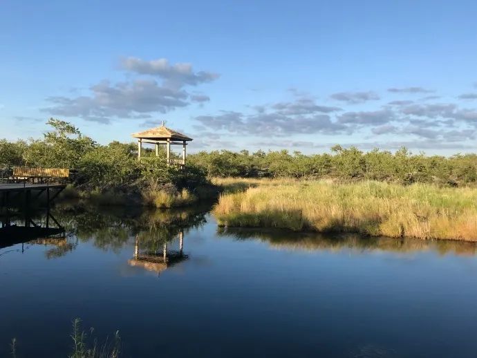 向往de夏天！呼倫貝爾北-額爾古納-北極村-發現最美中國15日深度自駕遊！ 旅遊 第56張