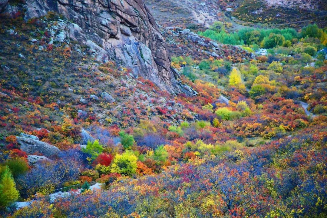 2020年10月2-7日自駕穿越五彩山-樺皮溝-大峽谷-夾皮溝-蛤蟆壩- 大青山-黃崗梁尋找最美秋色六日遊招募中 旅遊 第71張