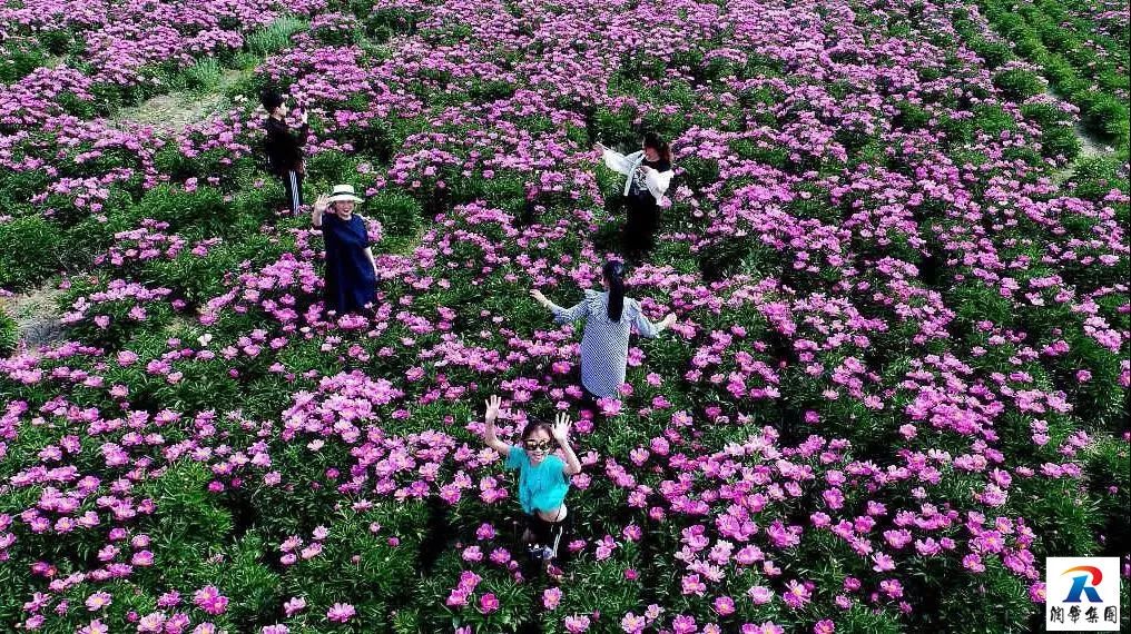 2019年5月1-4日自駕萬畝花田-杜鵑花海-天堂寨-白馬大峽谷-霍山湖4日遊招募 旅遊 第6張