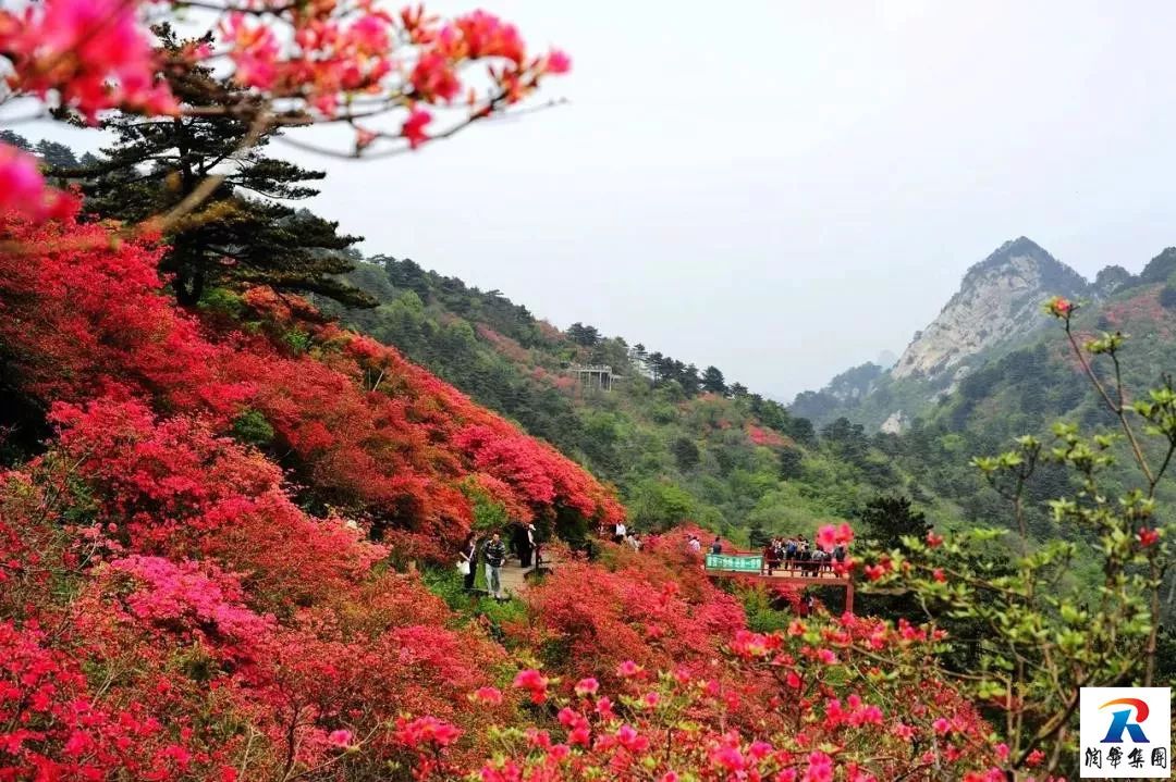 2019年5月1-4日自駕萬畝花田-杜鵑花海-天堂寨-白馬大峽谷-霍山湖4日遊招募 旅遊 第17張