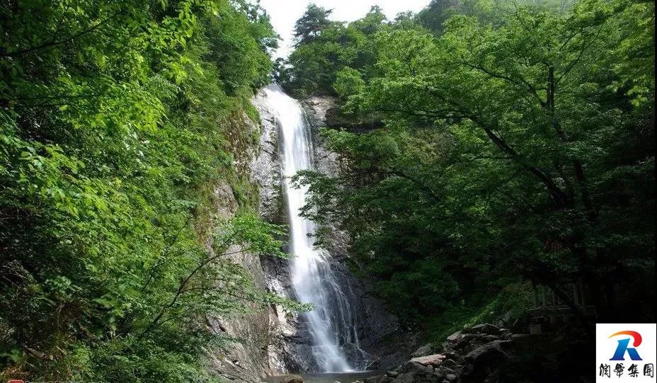 2019年5月1-4日自駕萬畝花田-杜鵑花海-天堂寨-白馬大峽谷-霍山湖4日遊招募 旅遊 第34張