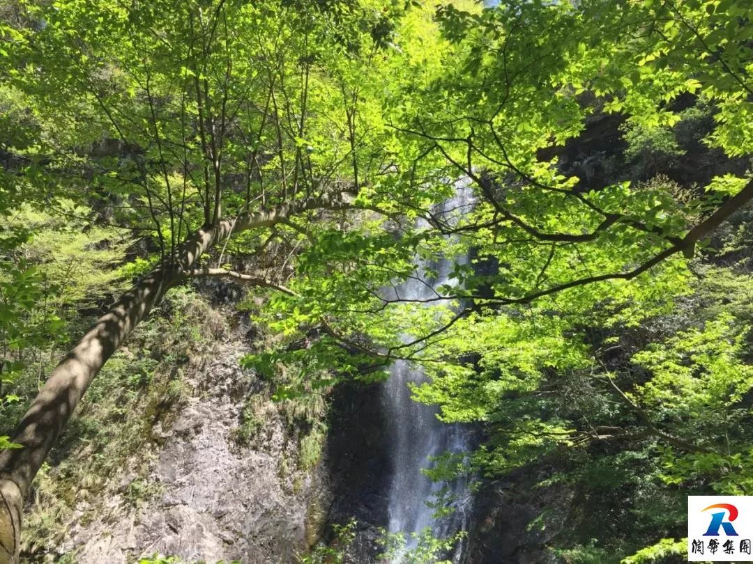 2019年5月1-4日自駕萬畝花田-杜鵑花海-天堂寨-白馬大峽谷-霍山湖4日遊招募 旅遊 第30張