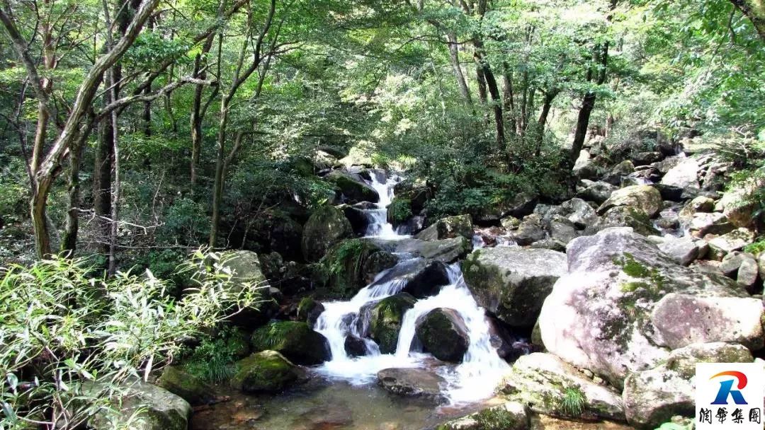 2019年5月1-4日自駕萬畝花田-杜鵑花海-天堂寨-白馬大峽谷-霍山湖4日遊招募 旅遊 第32張