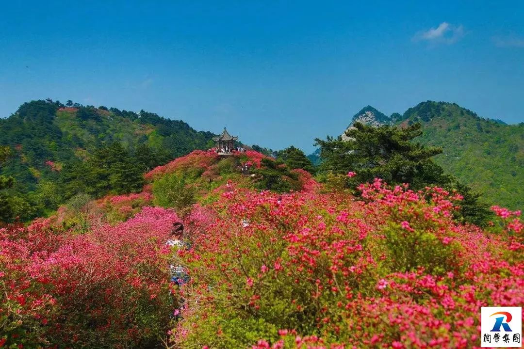 2019年5月1-4日自駕萬畝花田-杜鵑花海-天堂寨-白馬大峽谷-霍山湖4日遊招募 旅遊 第23張