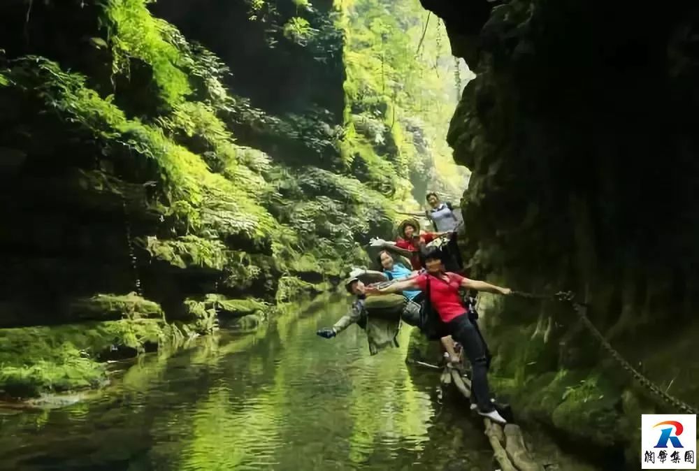 2019年5月1-4日自駕萬畝花田-杜鵑花海-天堂寨-白馬大峽谷-霍山湖4日遊招募 旅遊 第46張