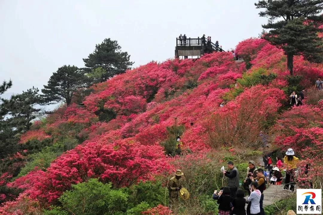 2019年5月1-4日自駕萬畝花田-杜鵑花海-天堂寨-白馬大峽谷-霍山湖4日遊招募 旅遊 第18張