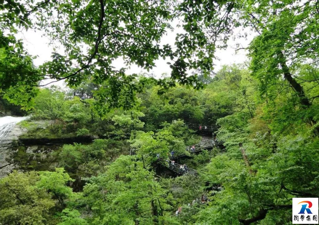 2019年5月1-4日自駕萬畝花田-杜鵑花海-天堂寨-白馬大峽谷-霍山湖4日遊招募 旅遊 第29張