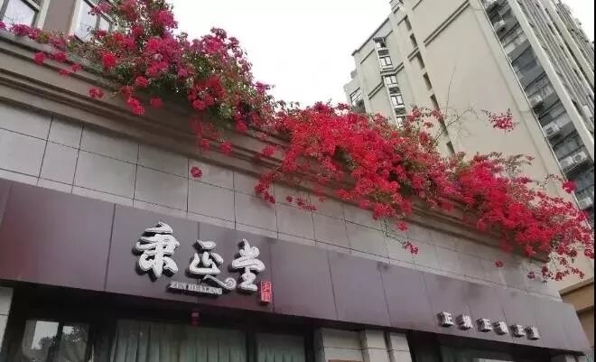 如何创办一家具有学术型特色的中医馆