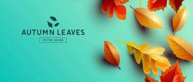 秋分平分了秋季，欢喜和肃静各占一半