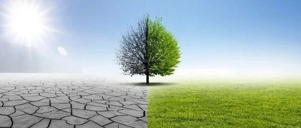 这些症状提示患有干燥综合征，早期干预避免全身多系统损伤