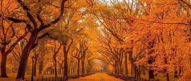 皮肤干燥、喉咙干痒还便秘？秋燥伤人，除了喝水你还能做这些！