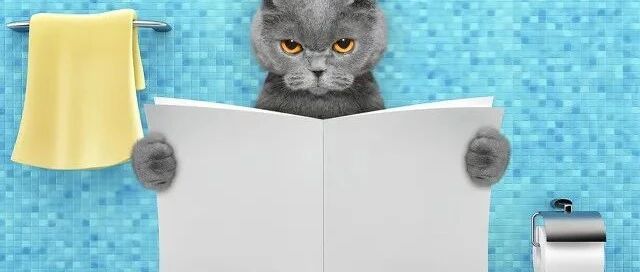 憋尿时，你的身体在发生着什么？