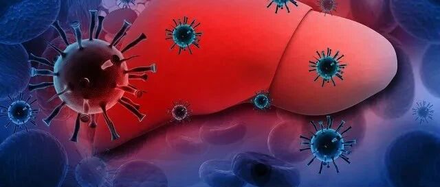甲乙丙丁戊，五种肝炎“性格”迥异，其中两种会致癌