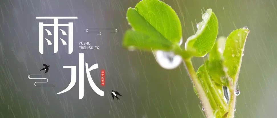 雨水 | 东风化雨，舒展筋骨从“头”开始「跟上时间的步伐调养身体」