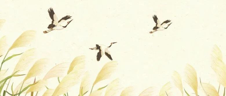 秋冬饮食“三字经”，秋三月适宜食物大赏