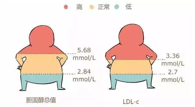 吃脂肪或不吃脂肪，身體都會制造血脂，血脂過高該怎麼辦？ 健康 第48張