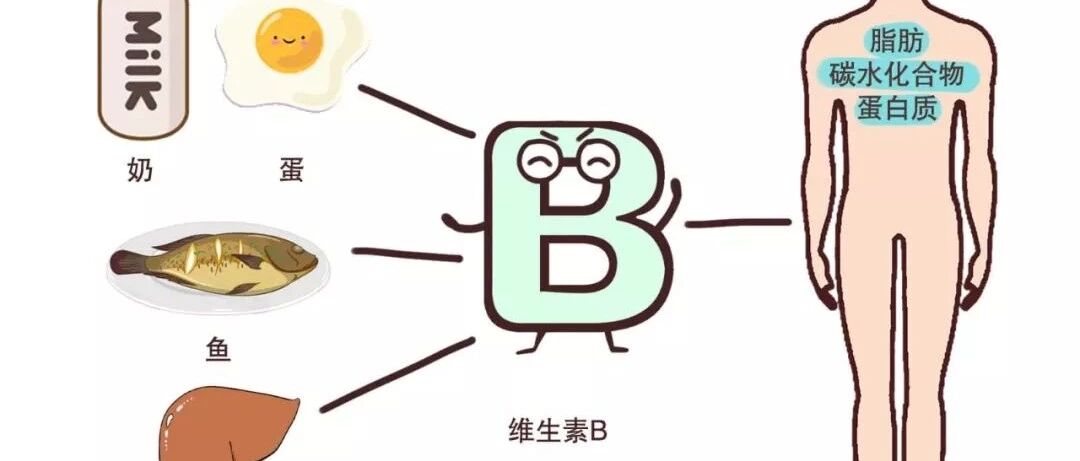 血脂一高就不吃肉了？只食素血脂也未必能降下来，关键问题在这里