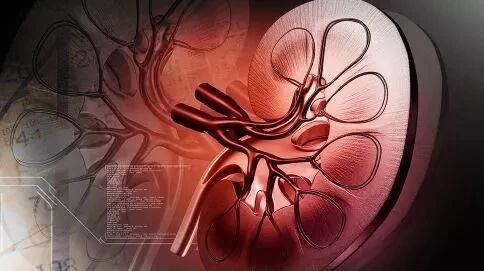 7个习惯，养结石