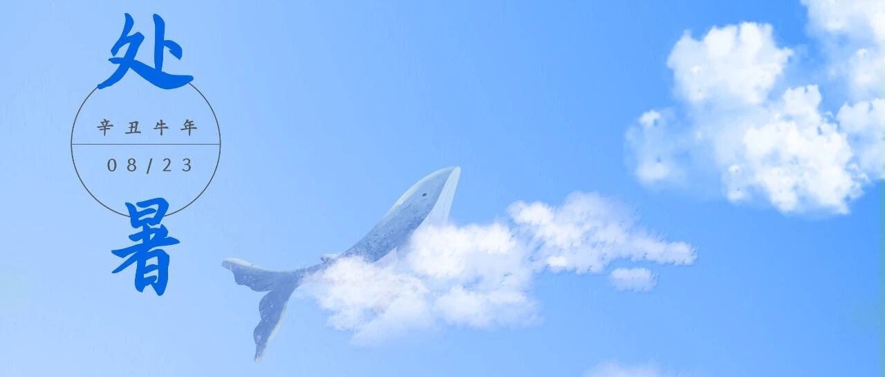 今日处暑 | 天地始肃，渎暑将退