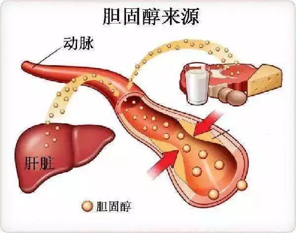 燕麥制品大排名！告訴您究竟誰才是降膽固醇谷物一把手！ 健康 第2張