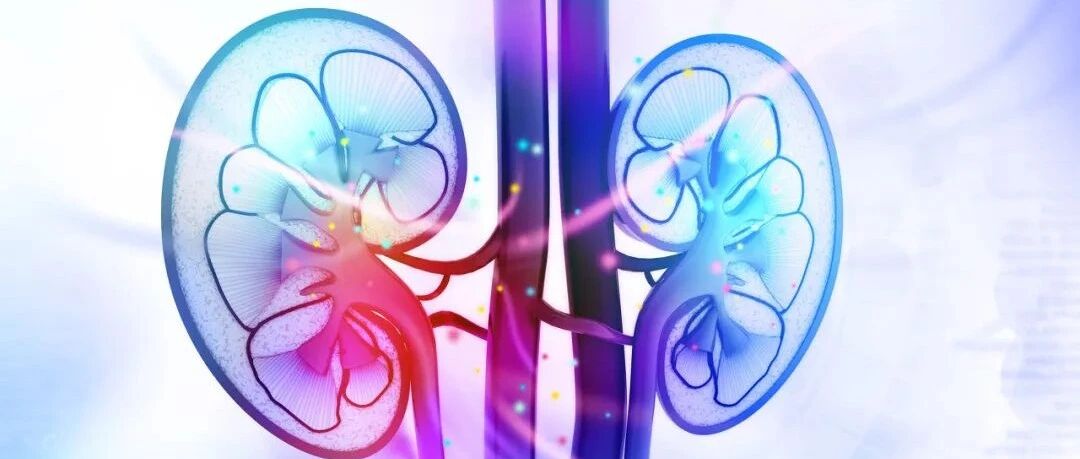 突发无尿？也许是急性肾损伤，点进来学点关于肾脏的健康知识