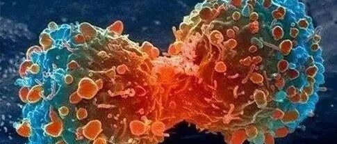 各国防癌、增强抵抗力各有高招！不看不知道，一看真有效！