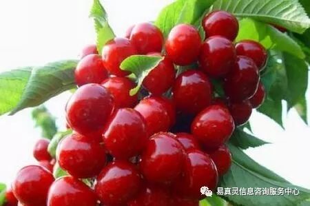 房子缺角怎们办