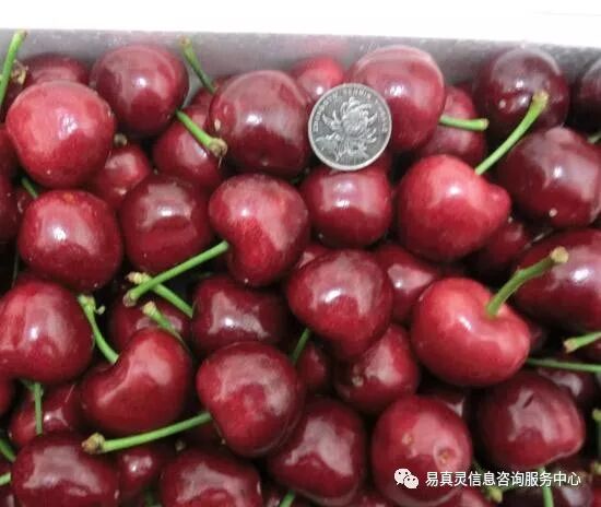 房子缺角怎们办