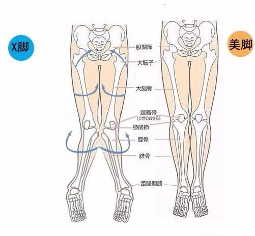 相差12岁 佟丽娅的 灯管腿 秒杀 星女郎 林允 美丽最前站 微信公众号文章阅读 Wemp