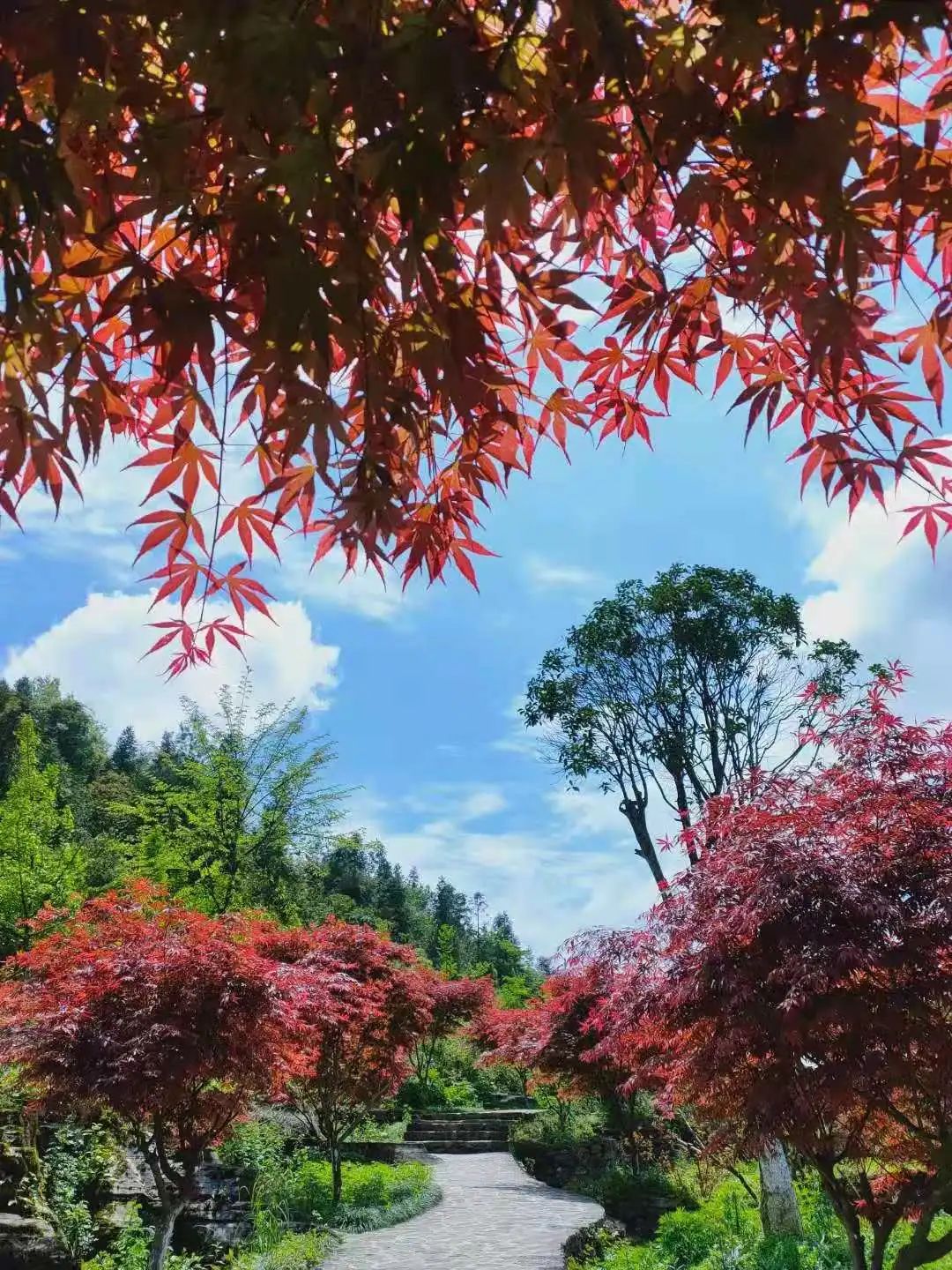 恩施旅游季节秋季图片