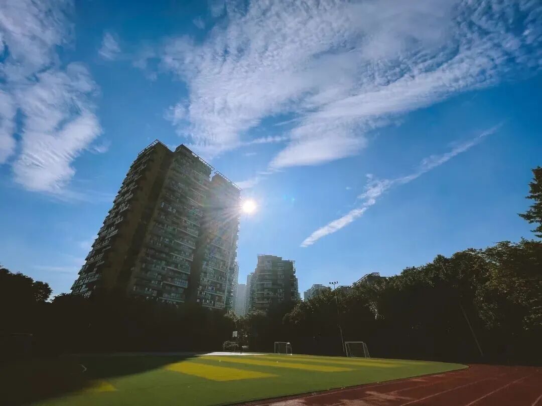 喜报！金牛新增3所全国足球特色校插图3