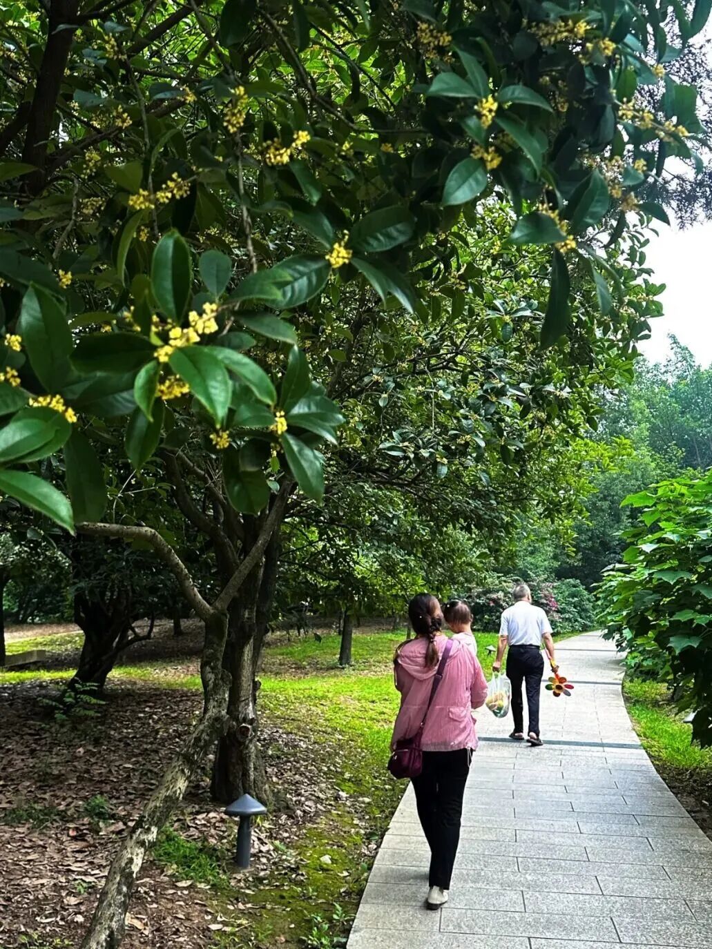 金牛的秋天，你闻到了吗？插图14