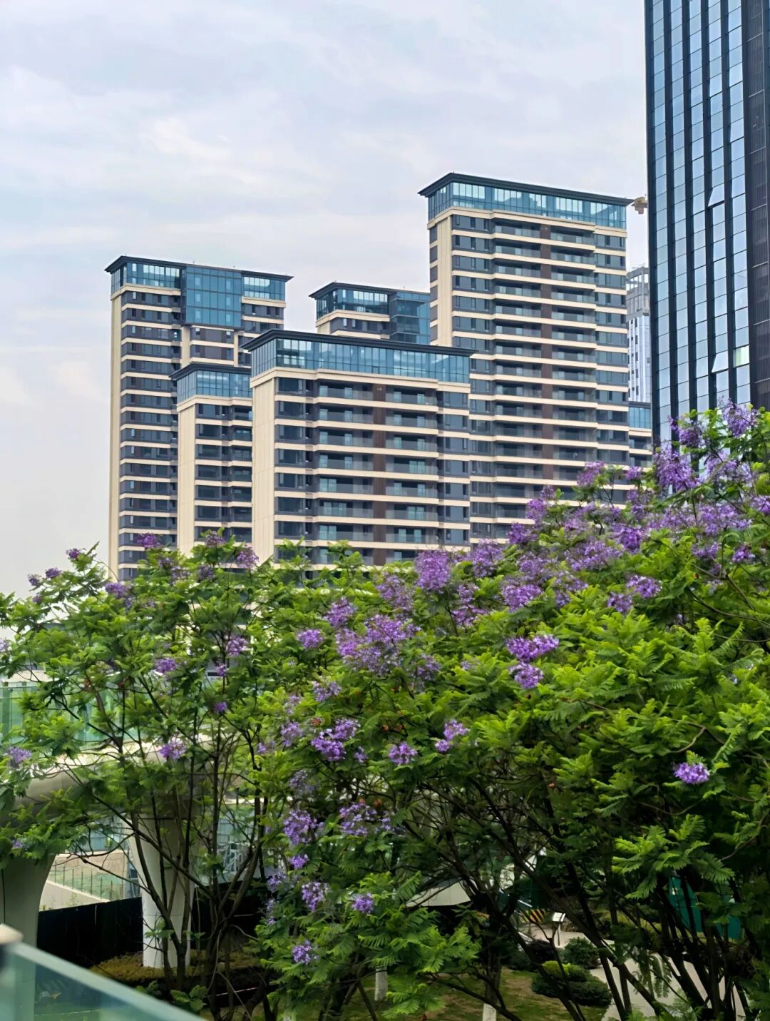 高架、街巷一路生花，金牛人：这浪漫我熟！插图28