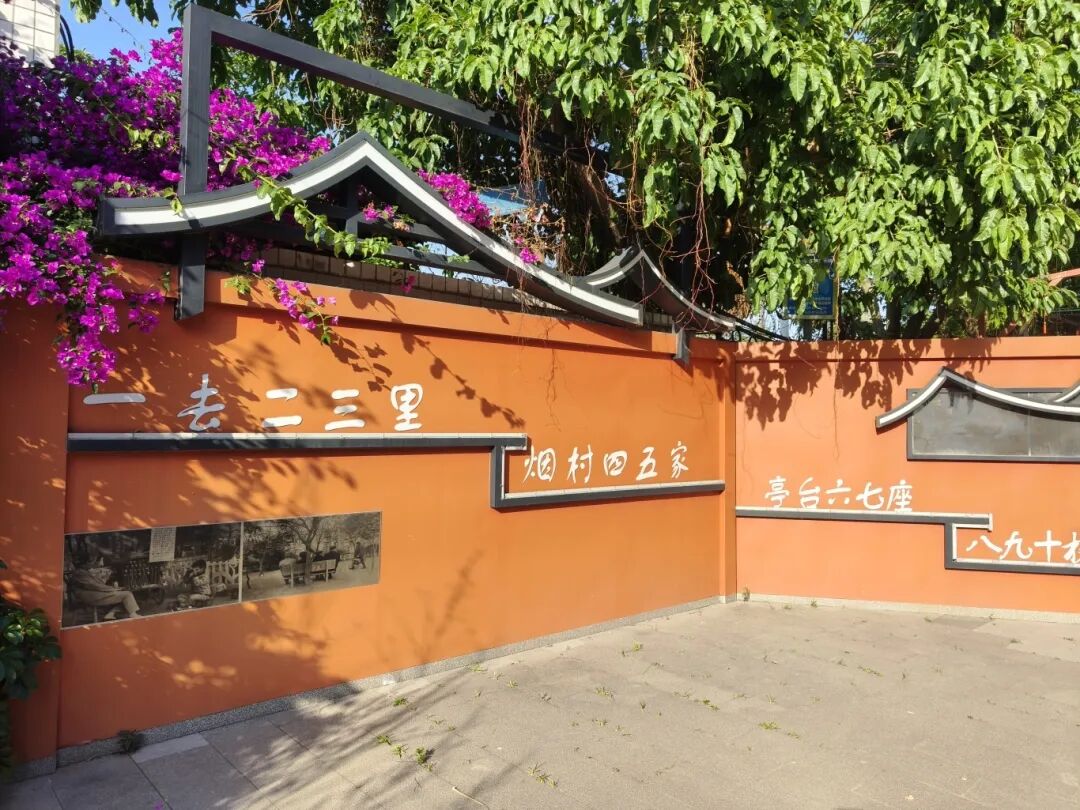 高架、街巷一路生花，金牛人：这浪漫我熟！插图14