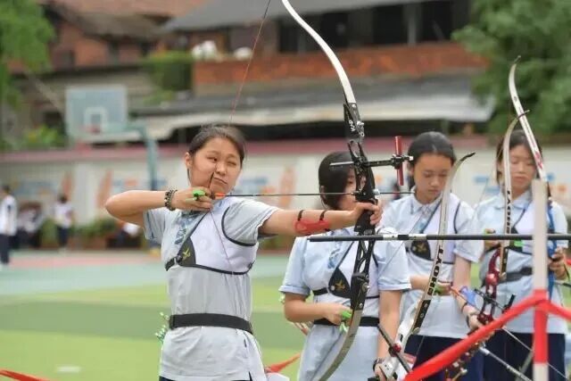 燃动金牛，世运氛围持续升温插图6