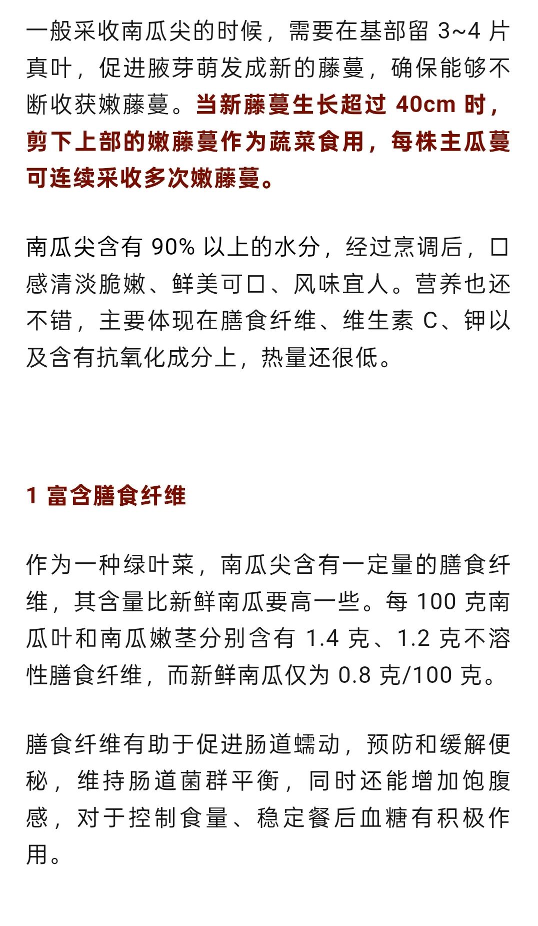 富含膳食纤维且热量超低！这种菜现在吃正好插图2