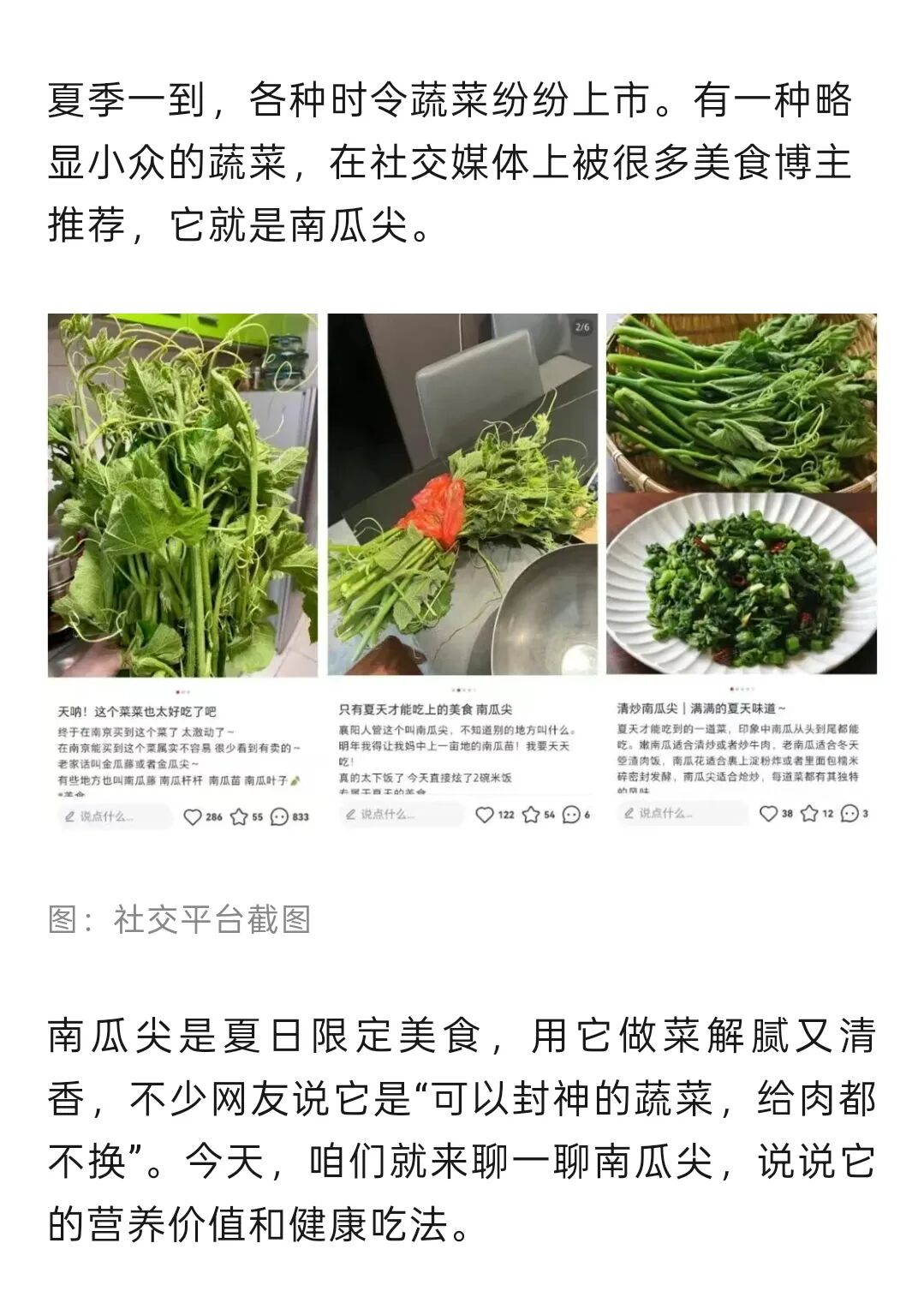 富含膳食纤维且热量超低！这种菜现在吃正好插图
