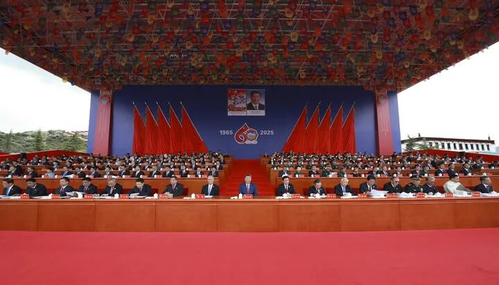 西藏自治区成立60周年庆祝大会隆重举行 习近平出席大会插图4