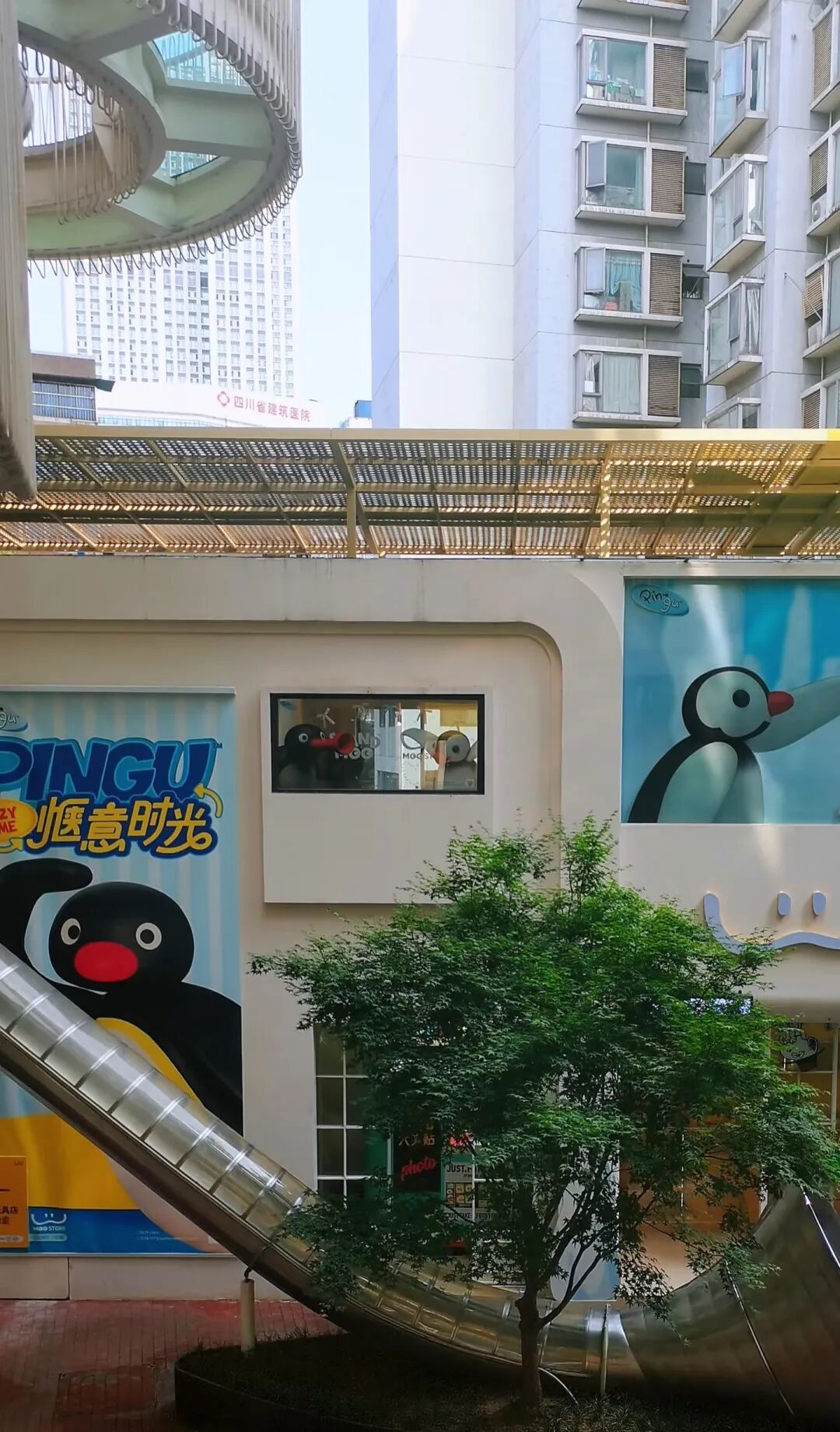 3大经典路线正式发布！跟着世运游金牛→插图12