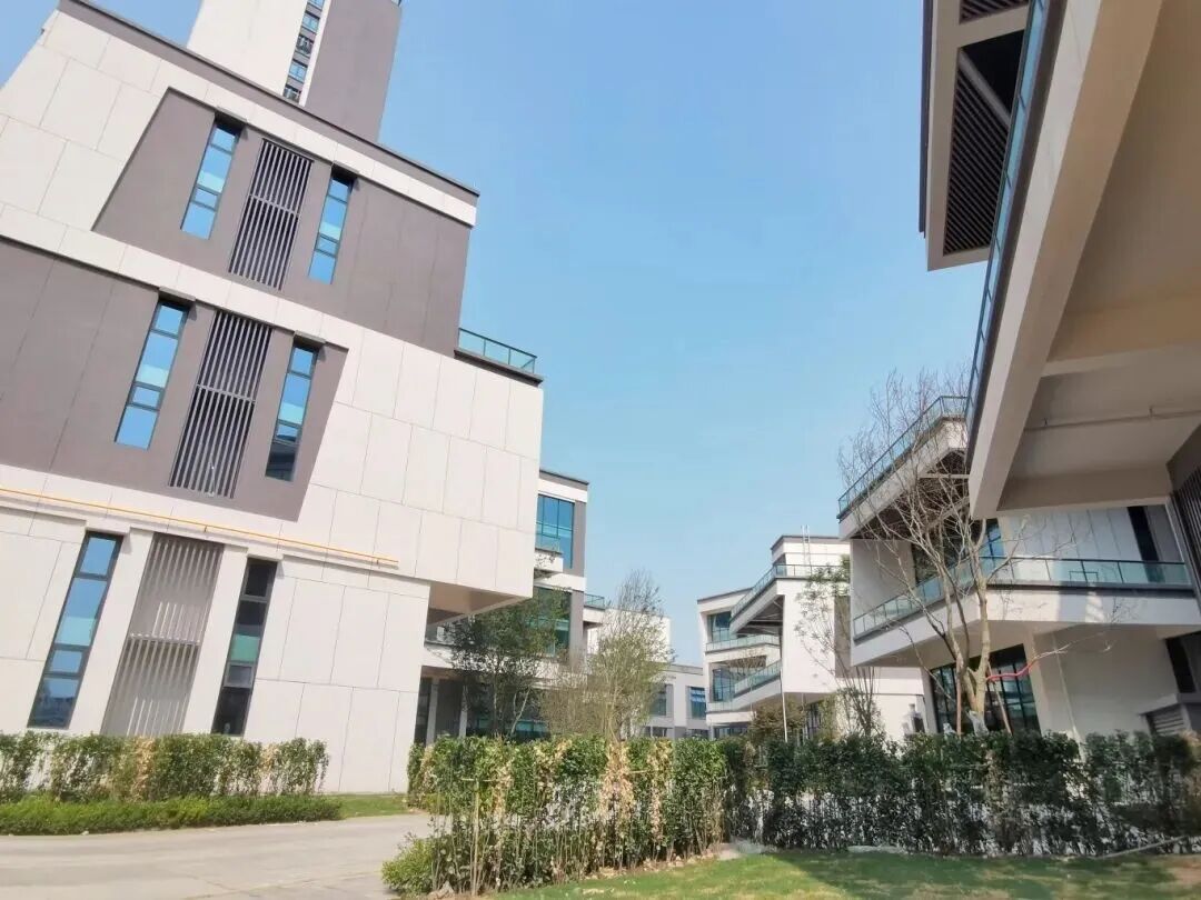 金牛这个商业综合体项目竣工！插图3