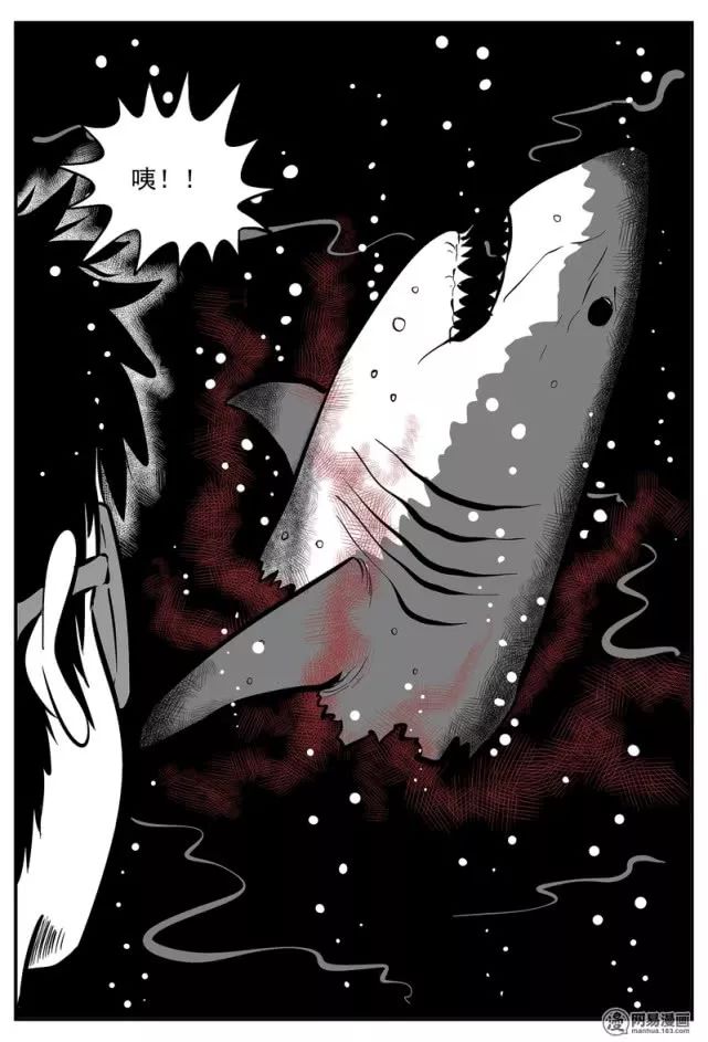驚悚漫畫《水底》泳池里的鯊魚詭談 靈異 第136張