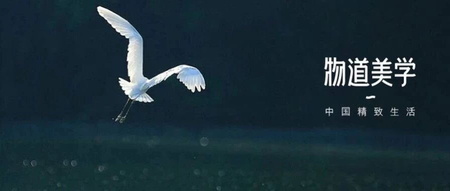 明日白露：吃好三白，喝好三白，玩好三白